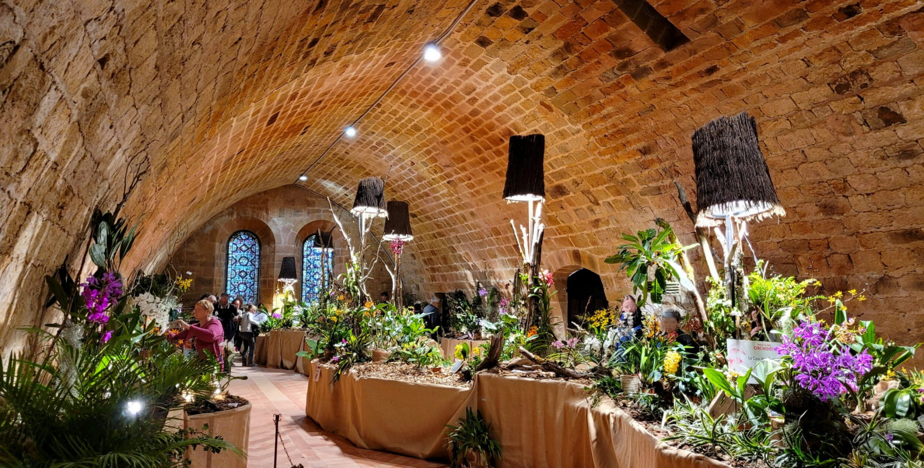 Festival des Orchidées Abbaye de Fontfroide 2022